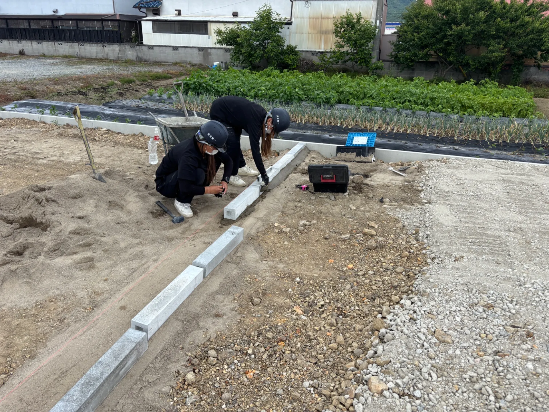 少しずつ💪